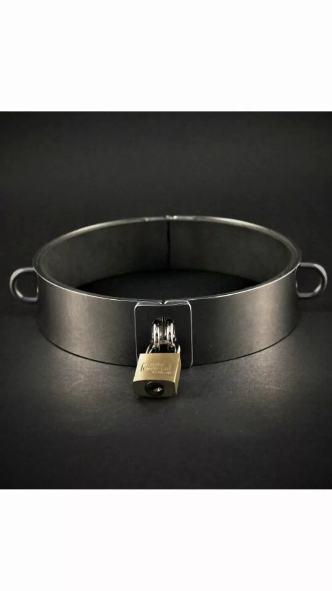 Halsband mit D-Ringen günstig online kaufen