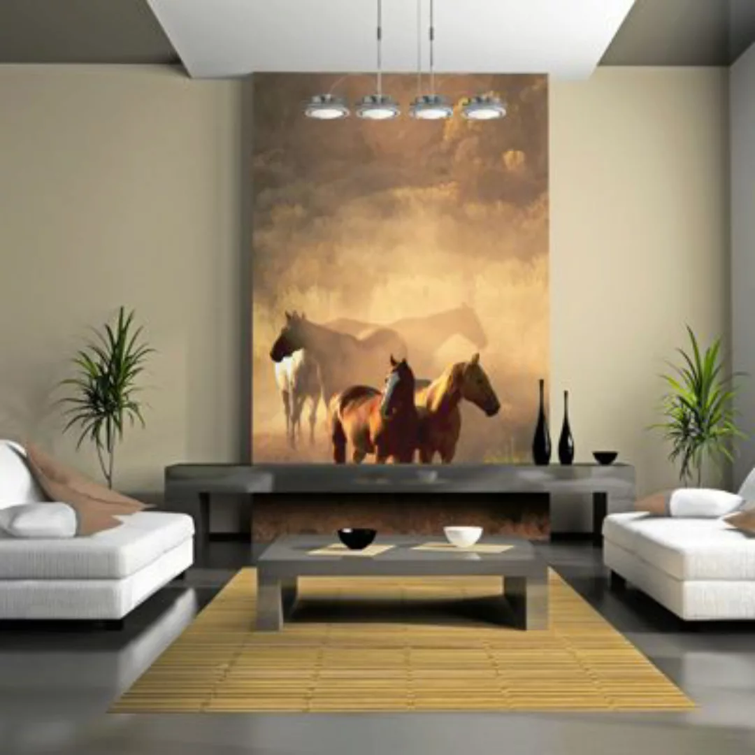 artgeist Fototapete Wildpferde in der Steppe mehrfarbig Gr. 200 x 154 günstig online kaufen