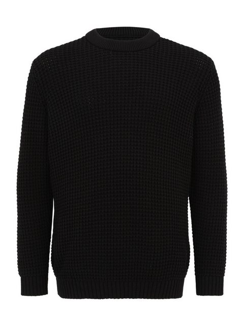 Jack & Jones Plus Rundhalspullover JCOZION (1-tlg) günstig online kaufen