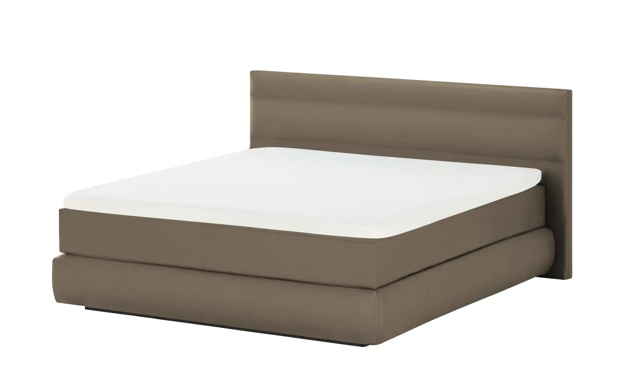 Wohnwert Boxspringbett  Dormian Bolge Low ¦ beige ¦ Maße (cm): B: 160 H: 10 günstig online kaufen
