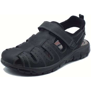 IgI&CO  Sandalen 7645100 Nabuk Ingrassato günstig online kaufen