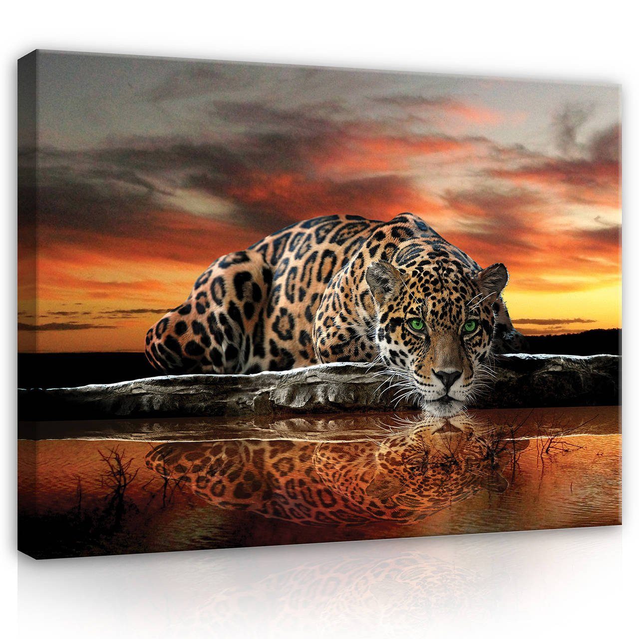 Wallarena Leinwandbild Tiger Tiere Afrika Natur günstig online kaufen