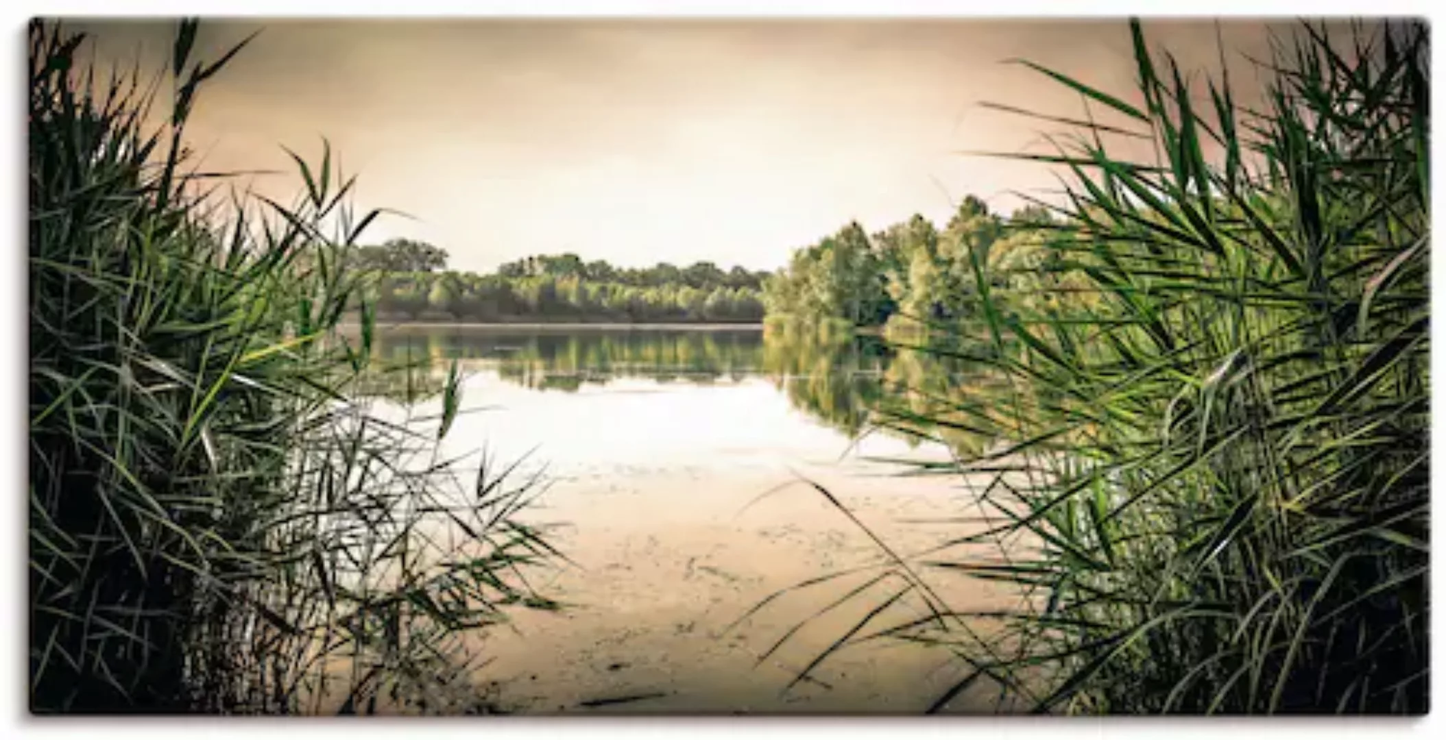 Artland Leinwandbild "gruenes Schilf am See", Seebilder, (1 St.), auf Keilr günstig online kaufen