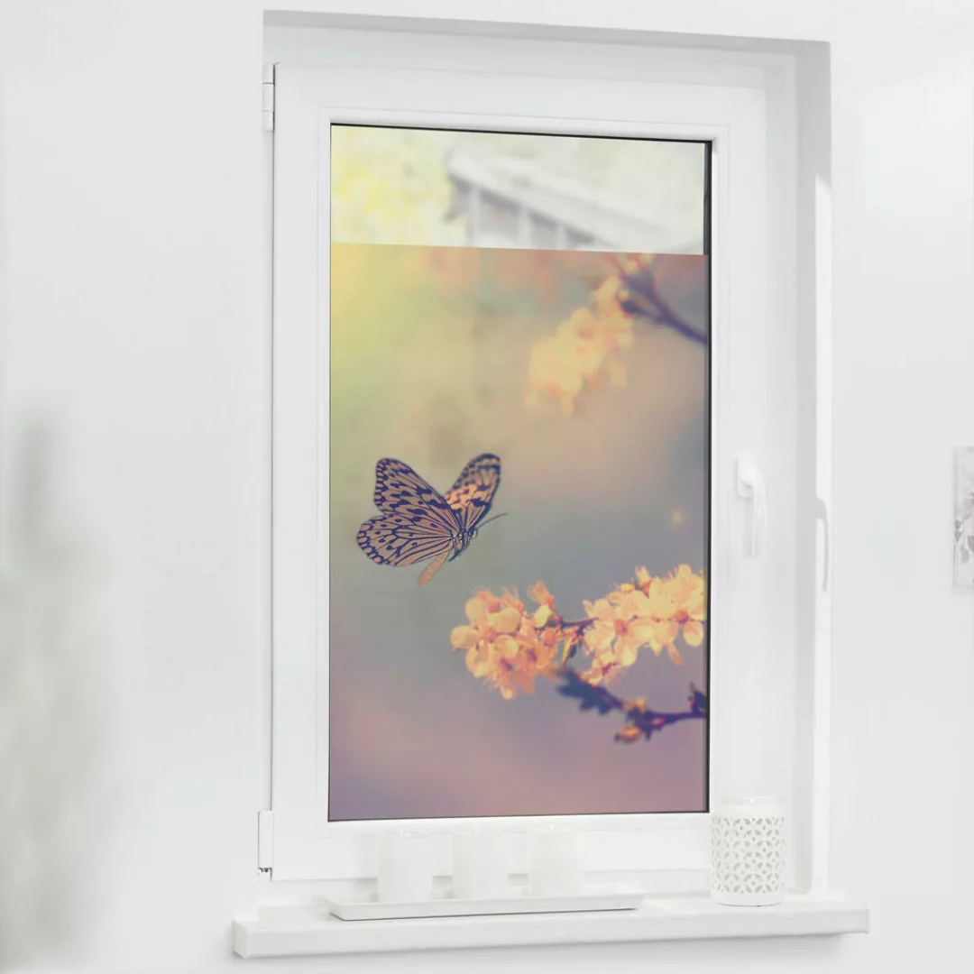 LICHTBLICK Fensterfolie Schmetterling orange B/L: ca. 100x180 cm günstig online kaufen