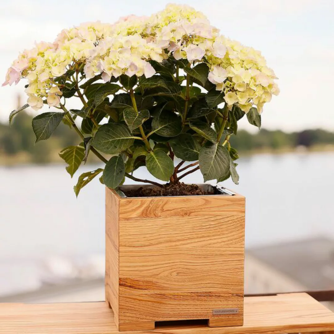 Holz-blumenkasten Pflanzkübel Kastanienholz günstig online kaufen