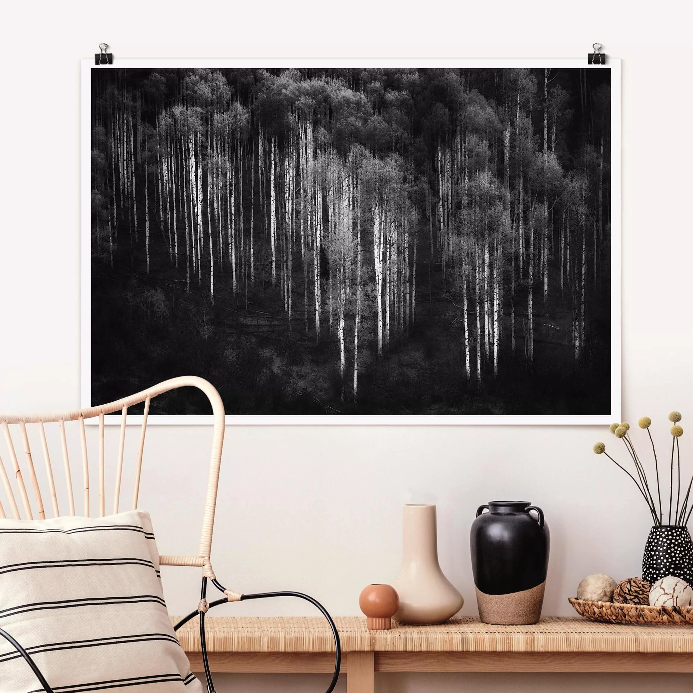 Poster Natur & Landschaft - Querformat Birkenwald in Aspen günstig online kaufen