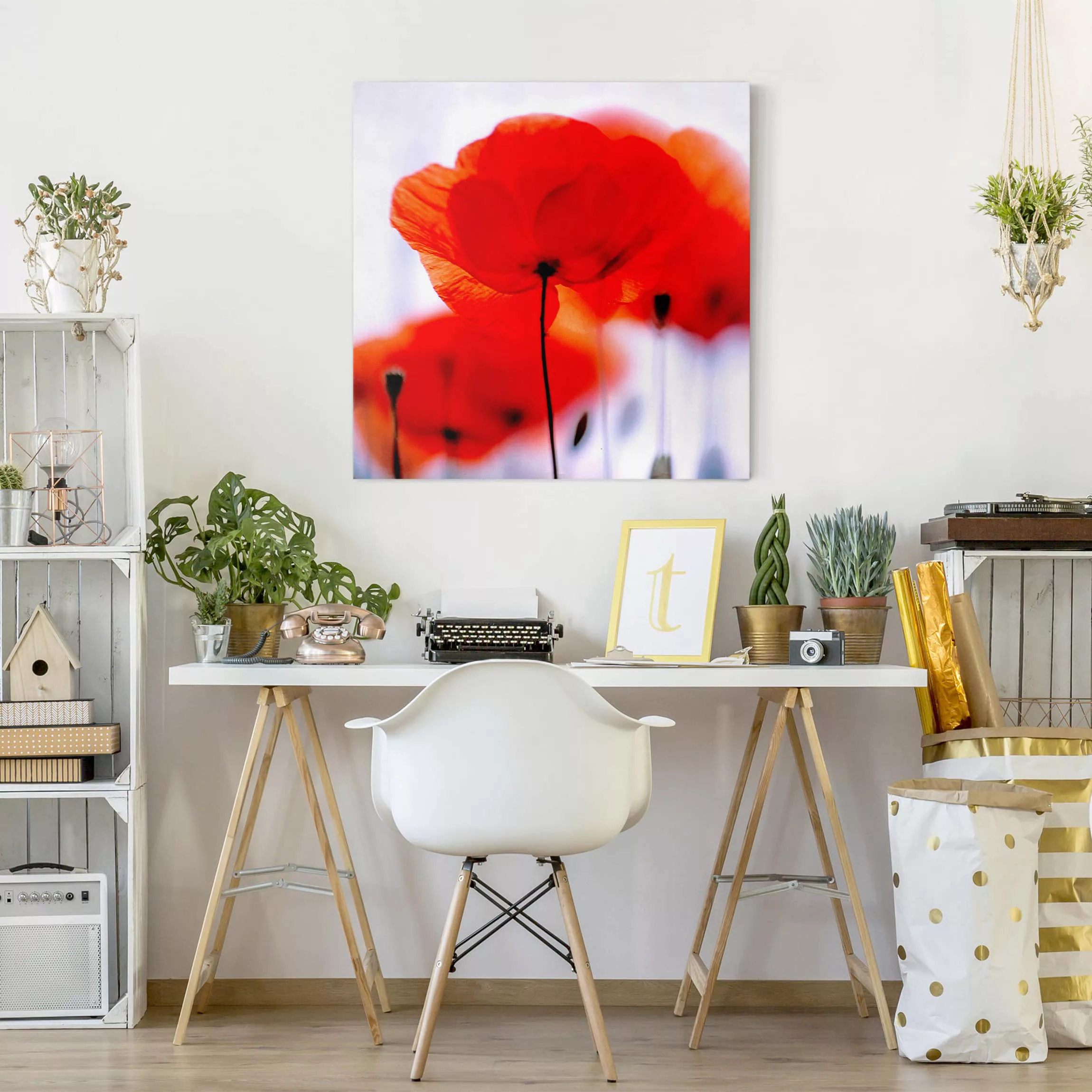 Leinwandbild - Quadrat Magic Poppies günstig online kaufen