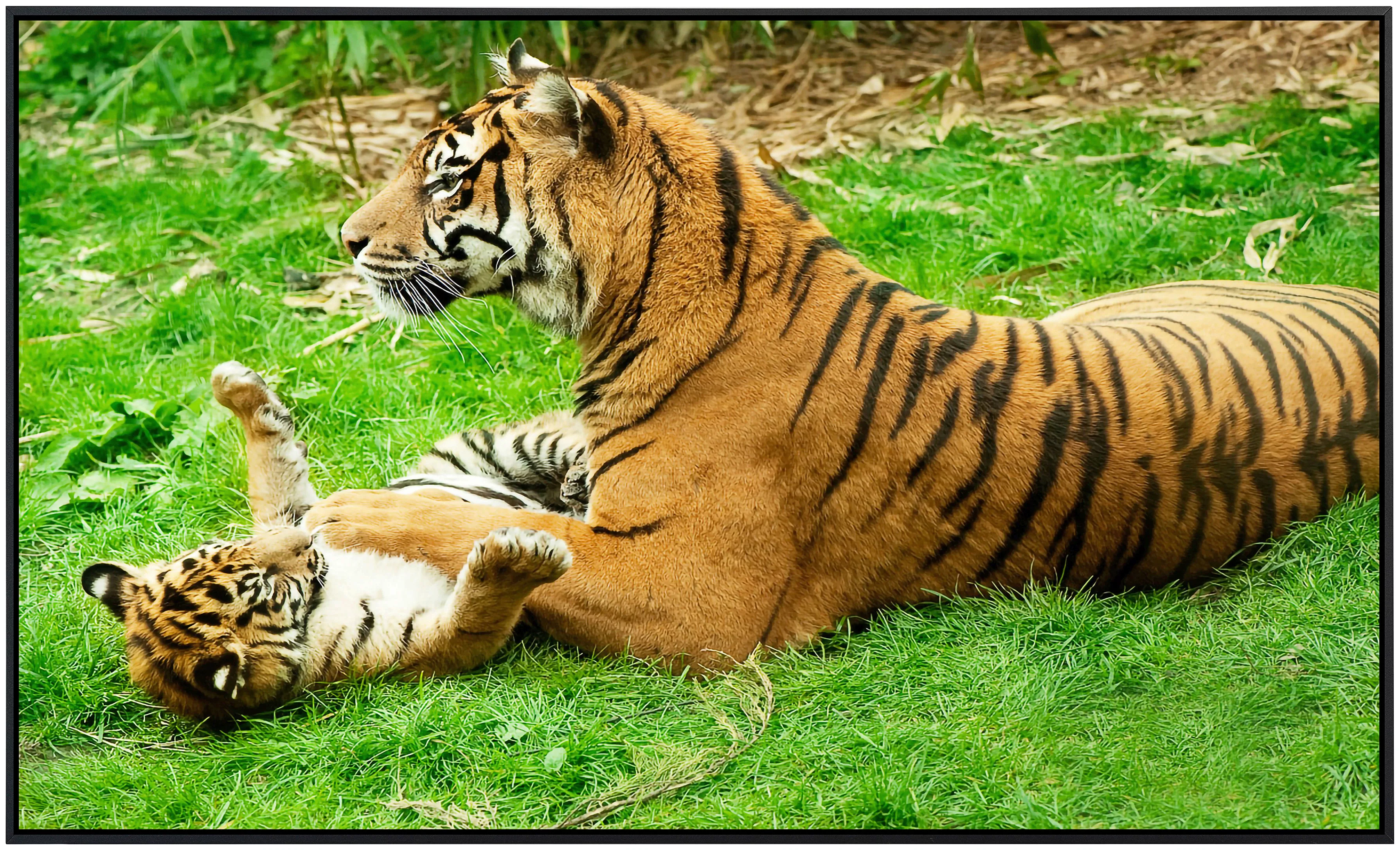 Papermoon Infrarotheizung »Tiger mit Baby« günstig online kaufen