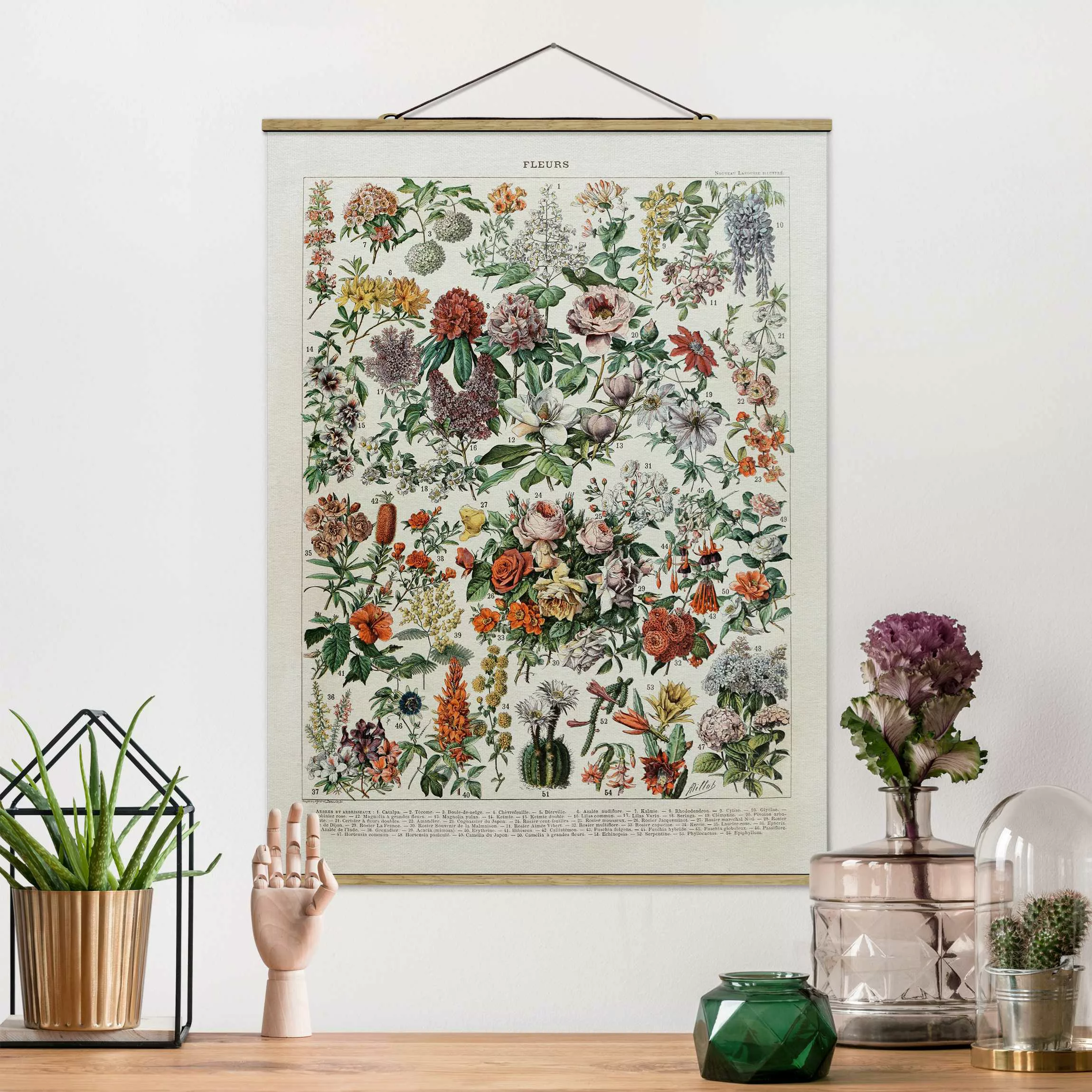 home24 Stoffbild Vintage Lehrtafel Blumen II günstig online kaufen