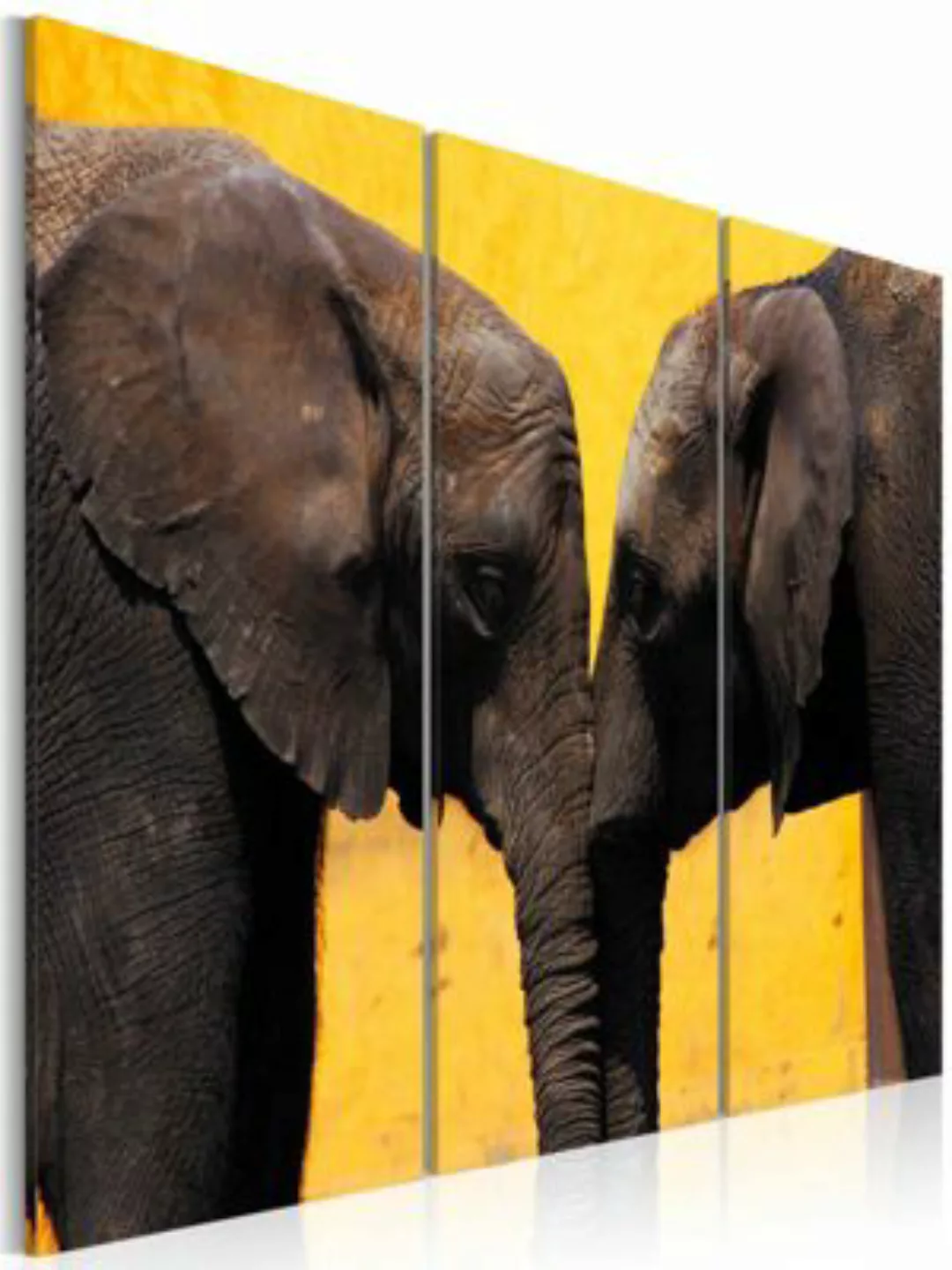 artgeist Wandbild Elefantenliebe gelb-kombi Gr. 60 x 40 günstig online kaufen