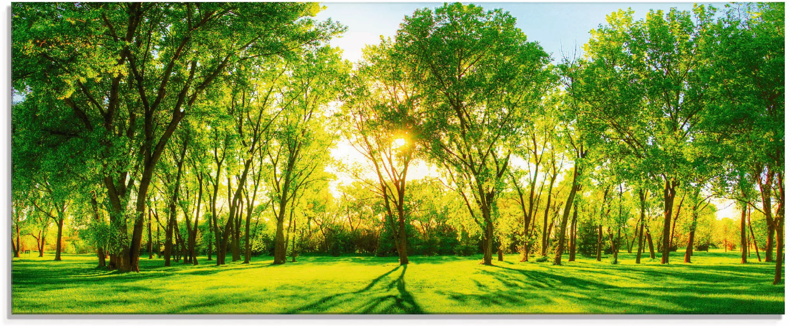 Artland Glasbild "Frühlingswärme II", Wiesen & Bäume, (1 St.), in verschied günstig online kaufen