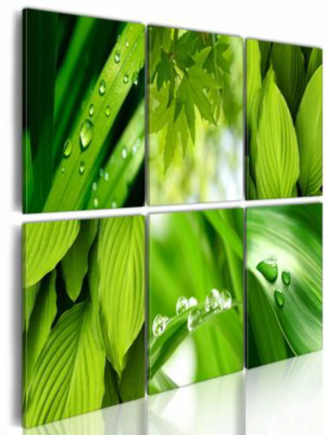 artgeist Wandbild Saftige grüne Blätter Gr. 60 x 40 günstig online kaufen