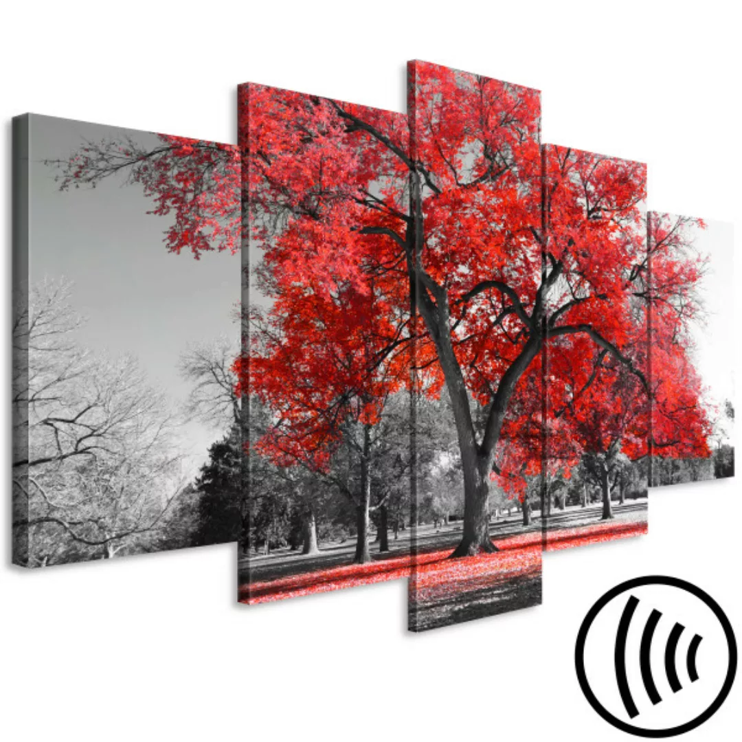 Wandbild Autumn in the Park (5 Parts) Wide Red XXL günstig online kaufen