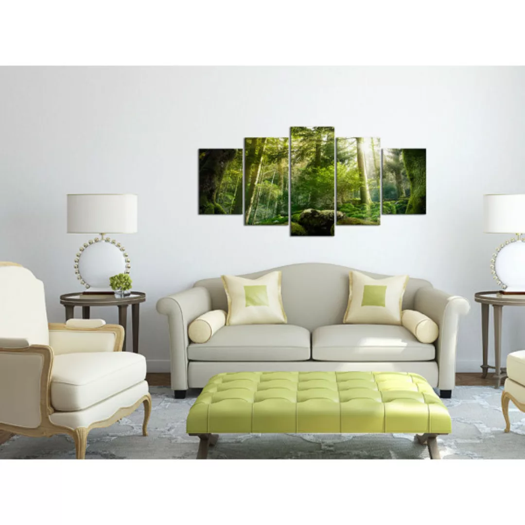 Leinwandbild  The Beauty of the Forest XXL günstig online kaufen