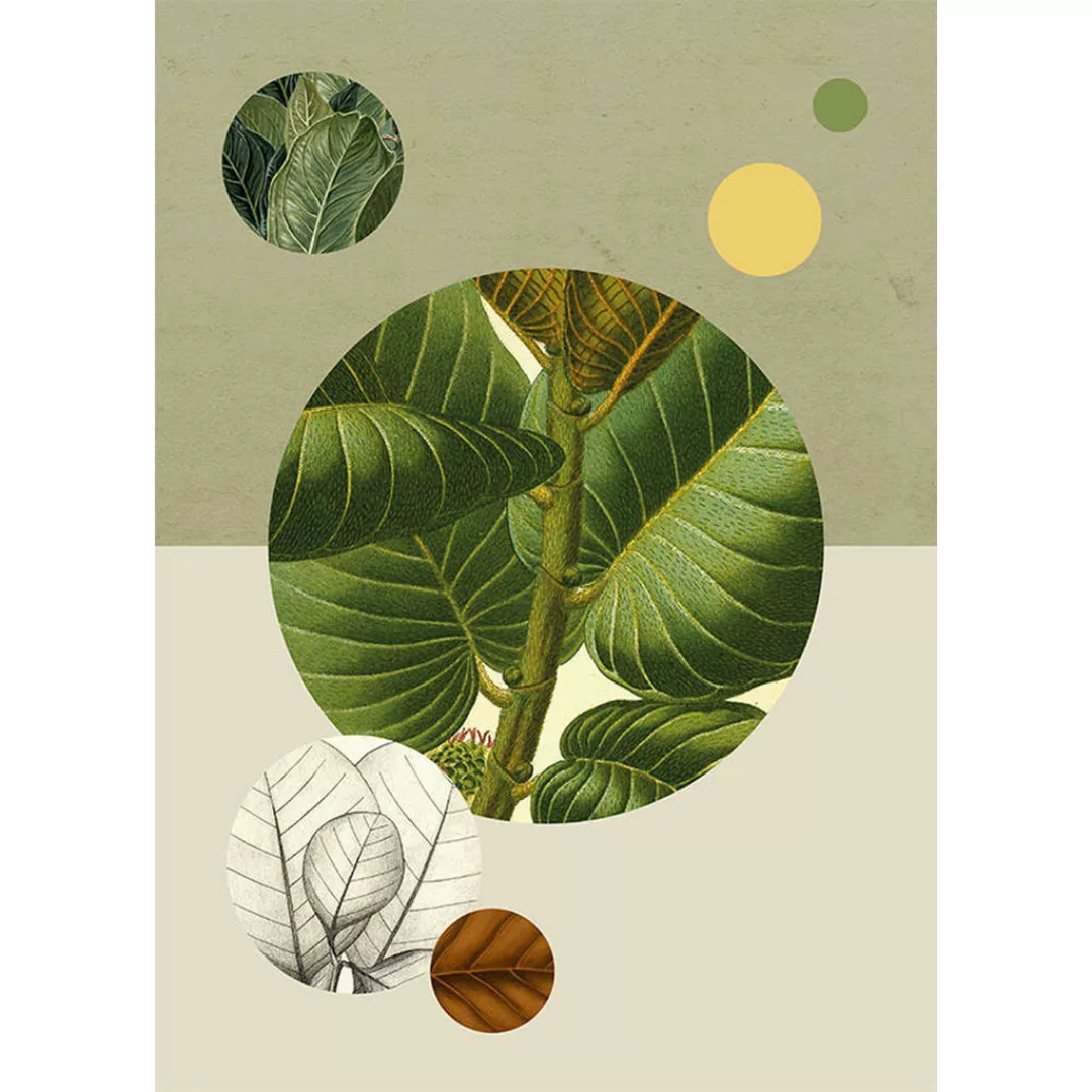 Komar Wandbild Green Structure Pflanzen B/L: ca. 50x70 cm günstig online kaufen