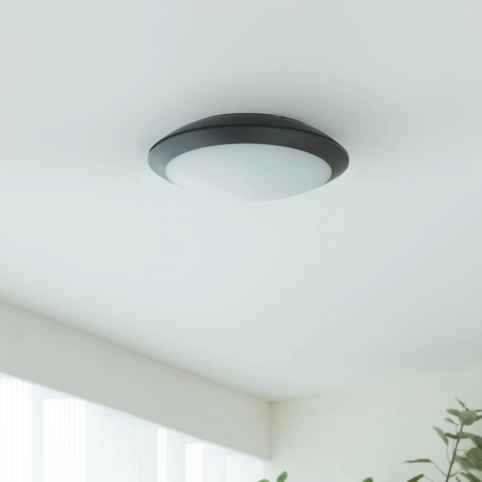 LED-Außendeckenlampe Naira m. Sensor, grau günstig online kaufen