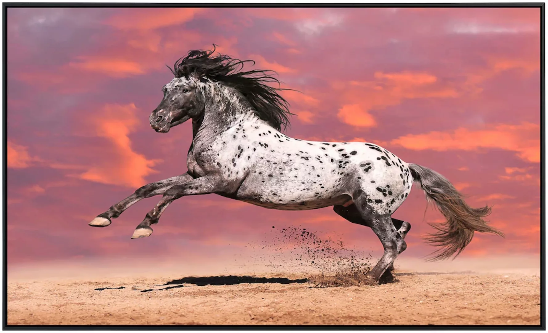 Papermoon Infrarotheizung »Pferd«, sehr angenehme Strahlungswärme günstig online kaufen
