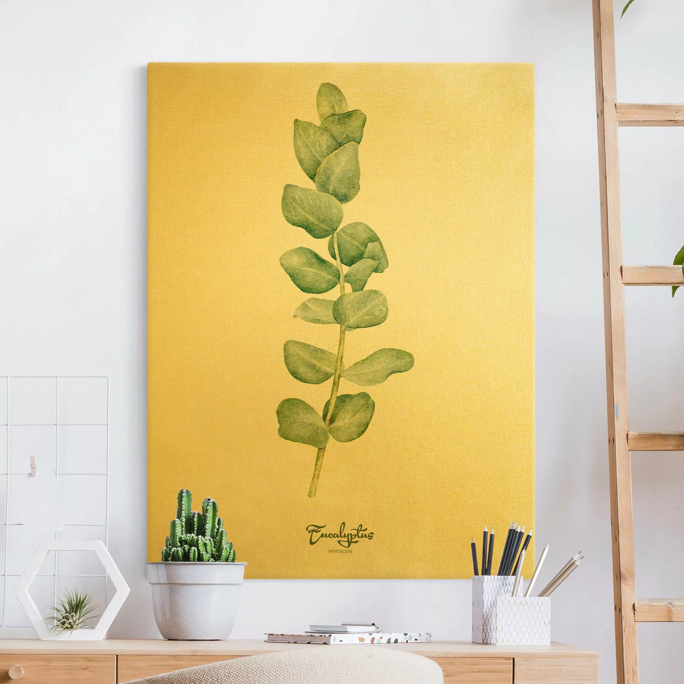 Leinwandbild Aquarell Botanik Eukalyptus günstig online kaufen