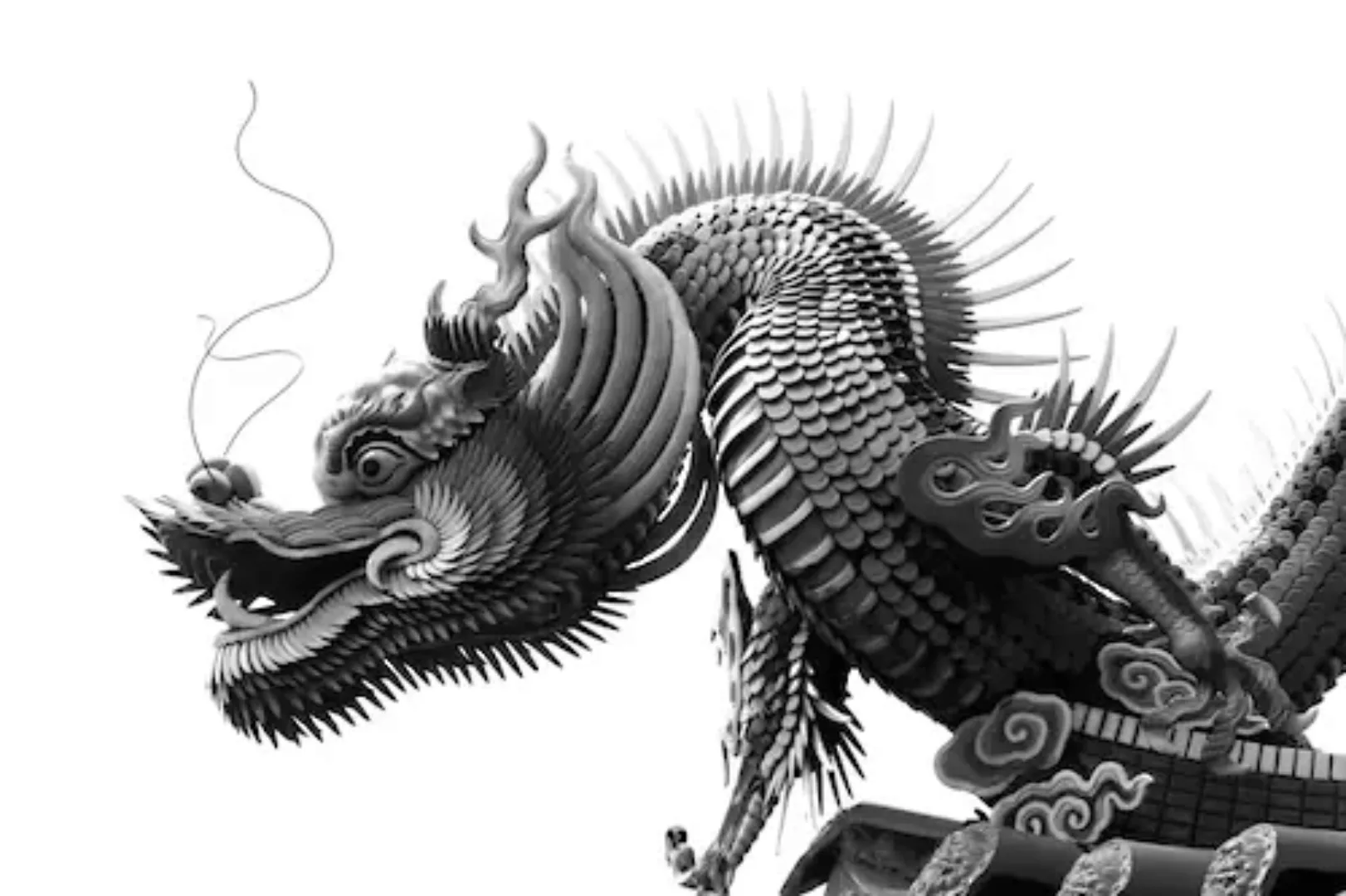 Papermoon Fototapete »Chinesischer Drache Schwarz & Weiß« günstig online kaufen