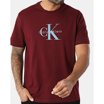 Calvin Klein Jeans T-Shirt SS Hero günstig online kaufen