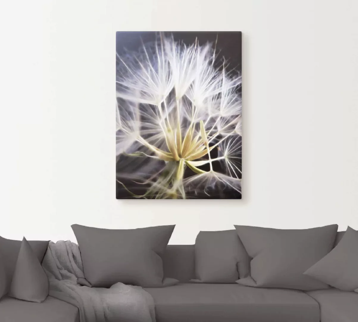 Artland Wandbild »Pusteblume«, Blumen, (1 St.), als Leinwandbild, Poster in günstig online kaufen