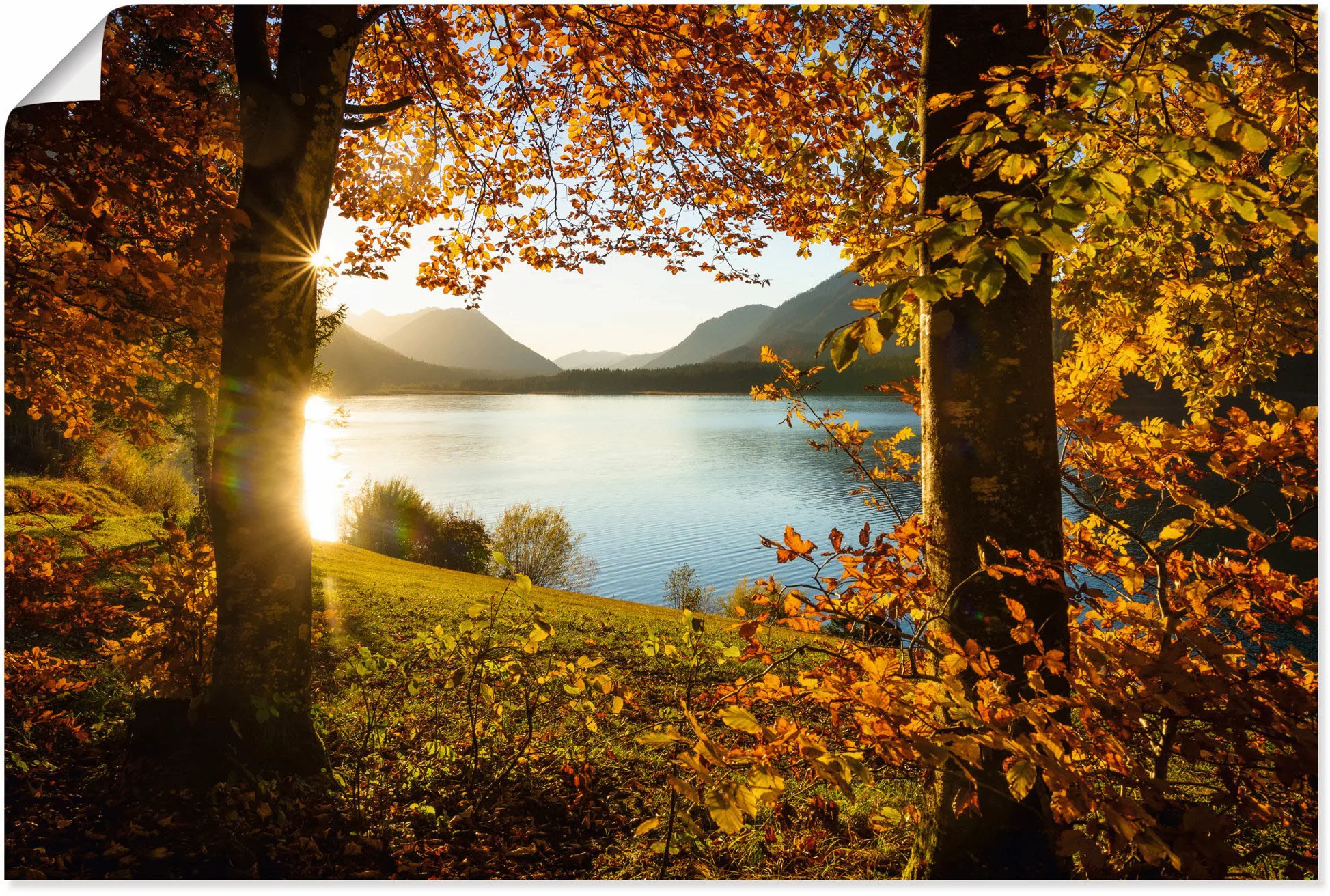 Artland Wandbild "Herbst am Sylvensteinsee", Gewässer, (1 St.), als Alubild günstig online kaufen