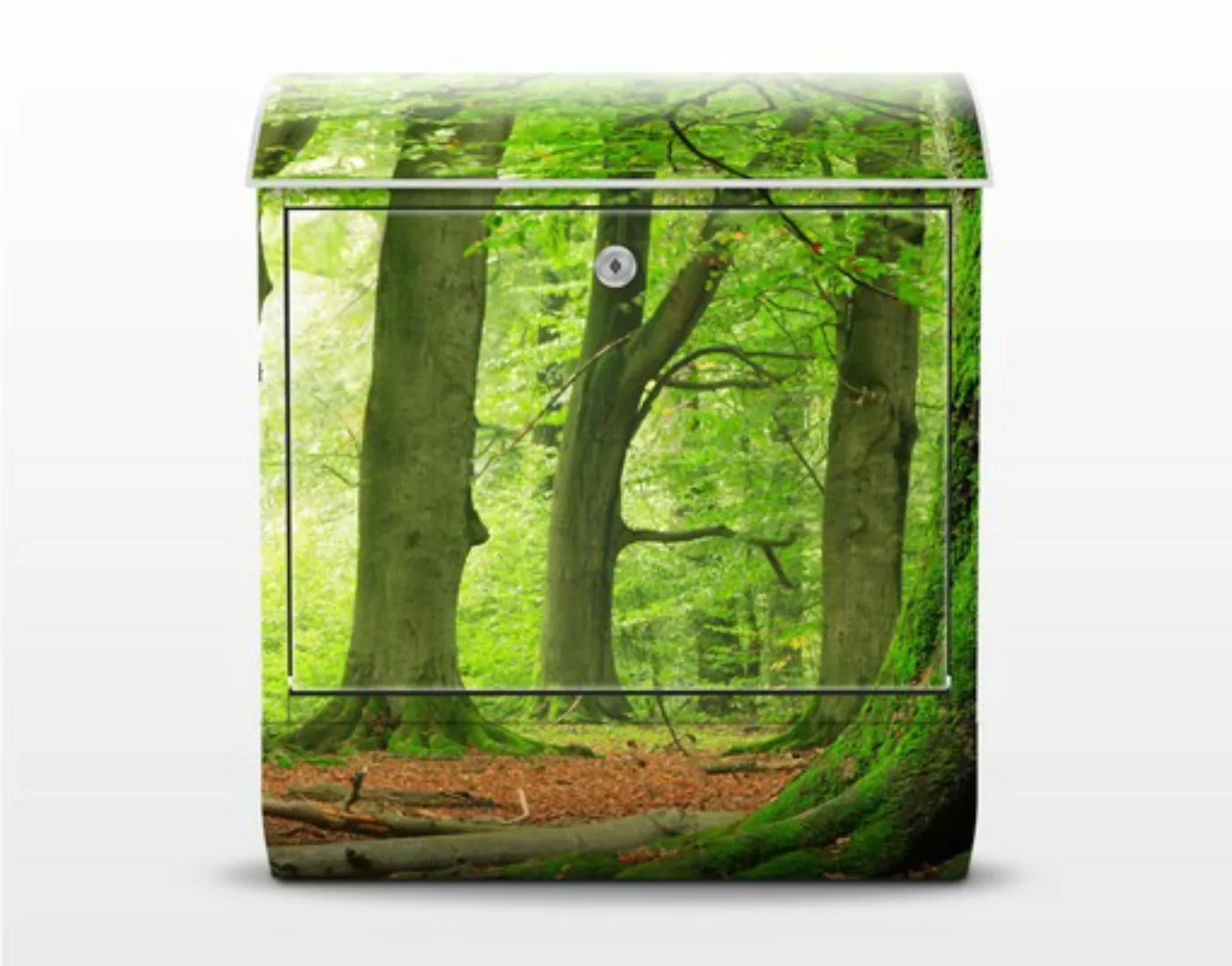 Briefkasten Mighty Beech Trees günstig online kaufen