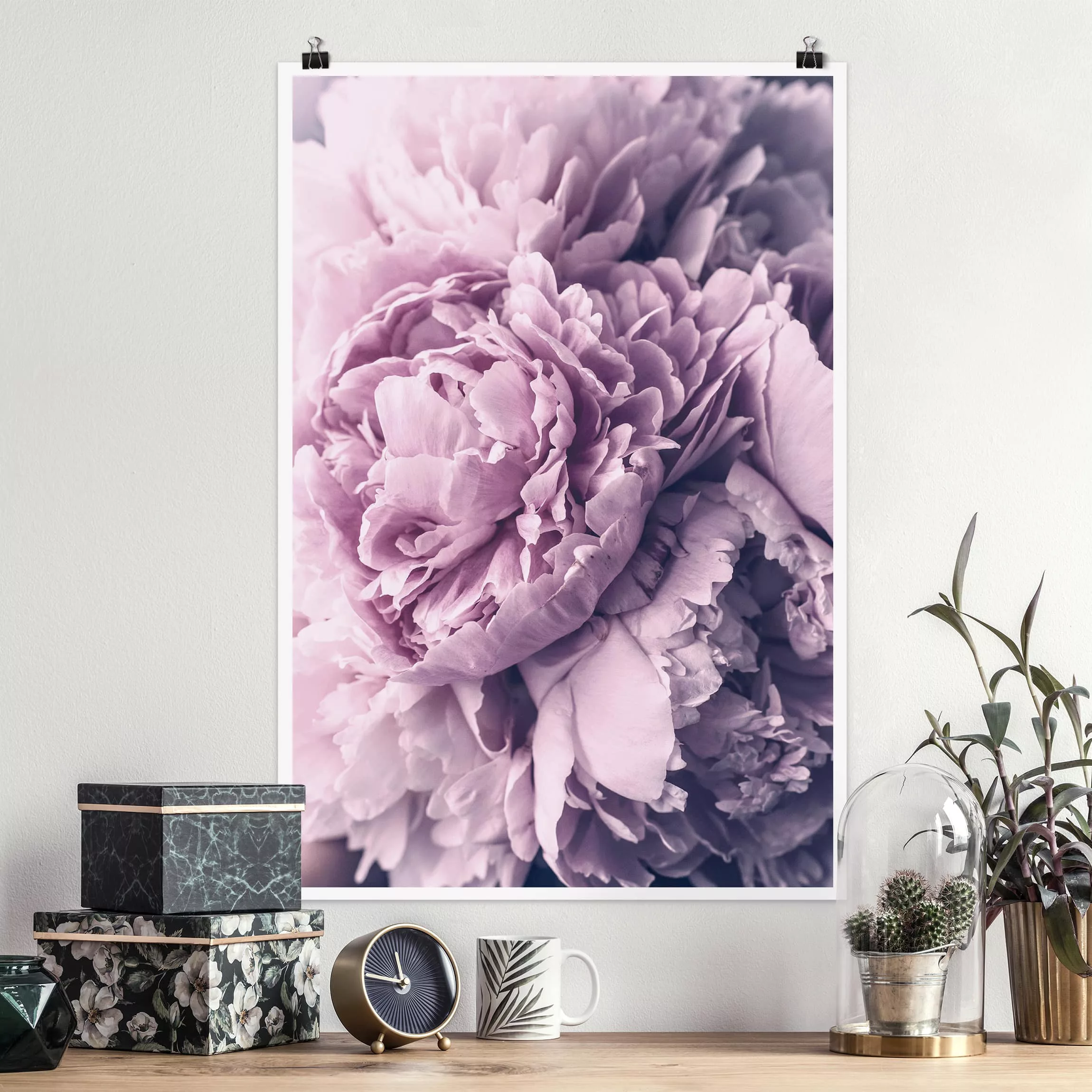 Poster Blumen - Hochformat Lila Pfingstrosenblüten günstig online kaufen
