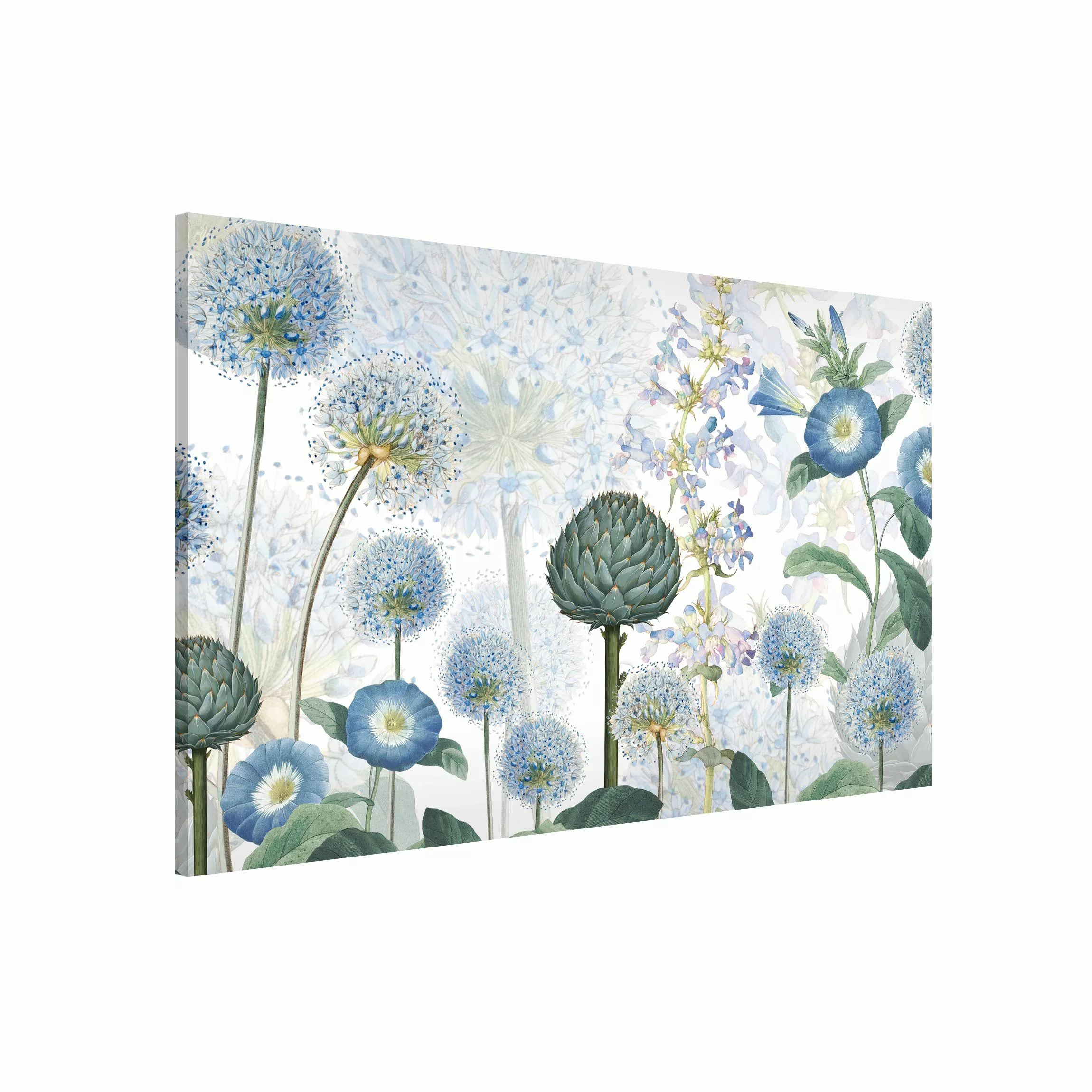 Magnettafel Blaue Alliumdolden im Wind günstig online kaufen