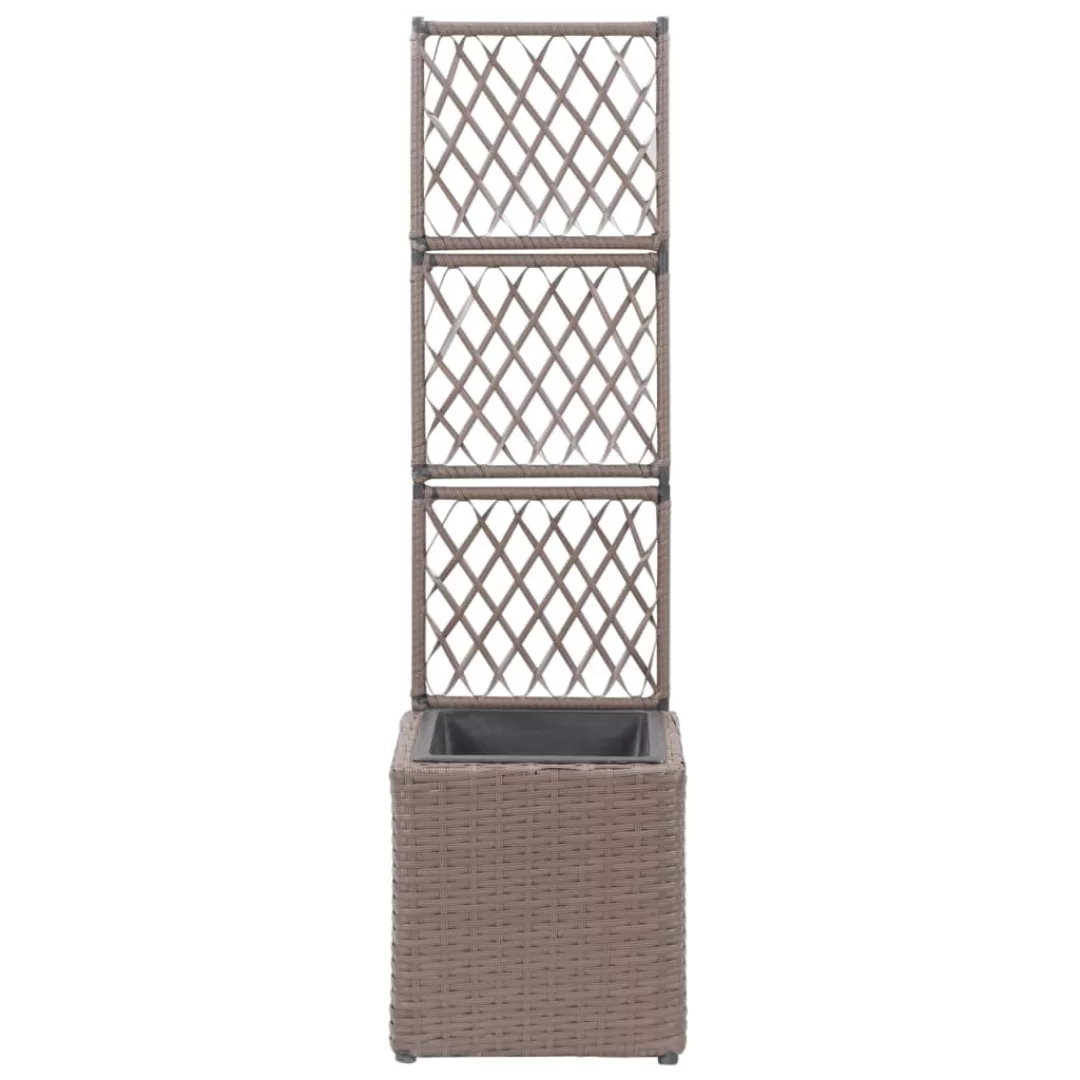 Hochbeet Mit Rankgitter 1 Topf 30x30x107 Cm Poly Rattan Braun günstig online kaufen