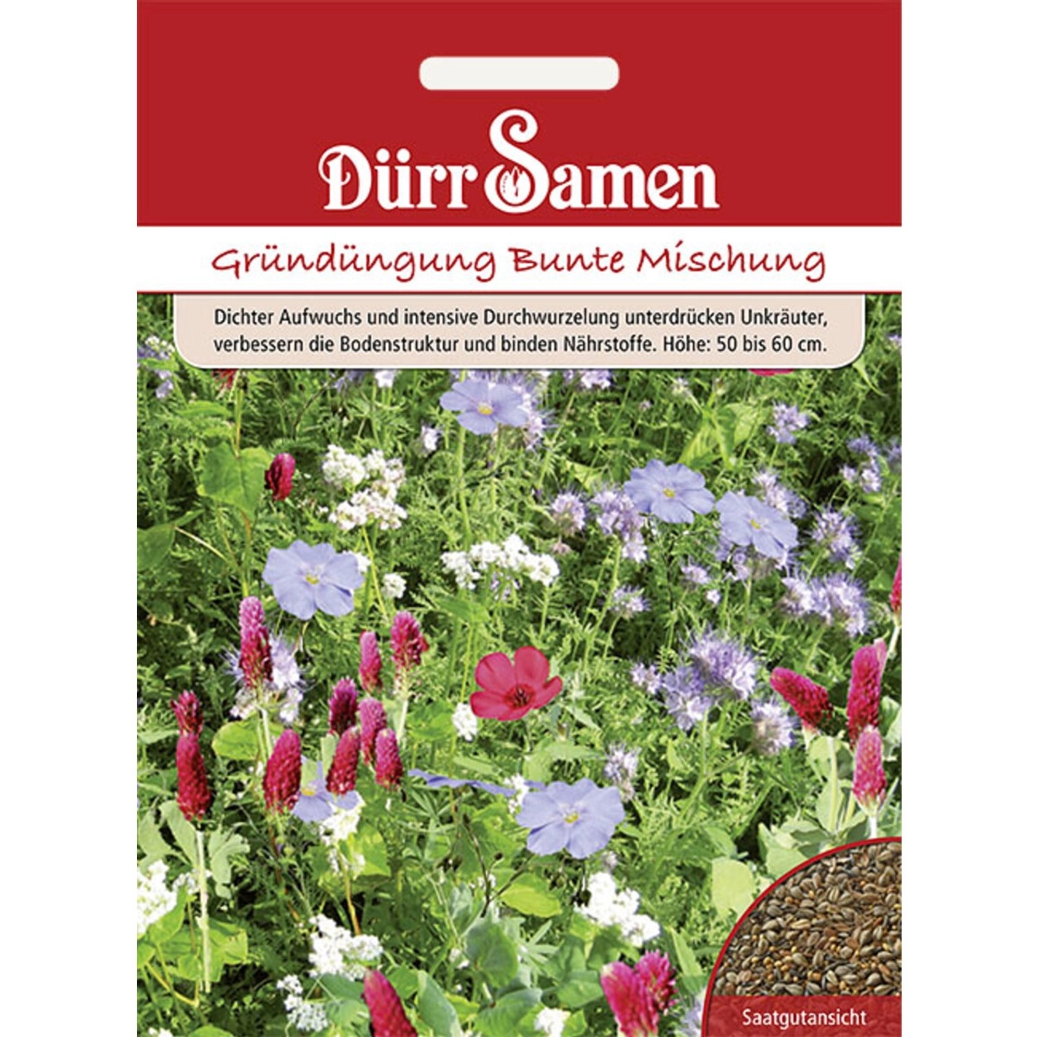Dürr Samen Gründüngung Bunte Mischung 50 G Saatgut günstig online kaufen