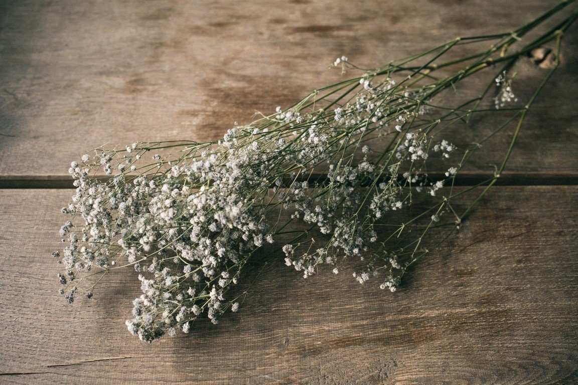 Trockenblume Schleierkraut Grau getrocknet im Bund günstig online kaufen