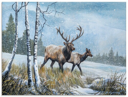 Artland Glasbild »Hirsch Reise IV«, Wildtiere, (1 St.), in verschiedenen Gr günstig online kaufen