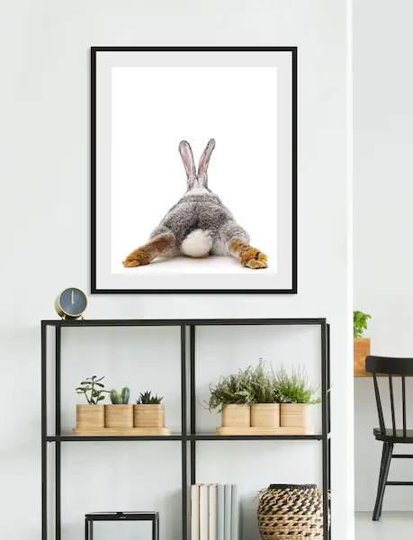 queence Bild »Bunny Tail«, Hase, (1 St.), Poster, gerahmt, niedlich, Pusche günstig online kaufen