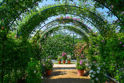 Papermoon Fototapete »Garten« günstig online kaufen