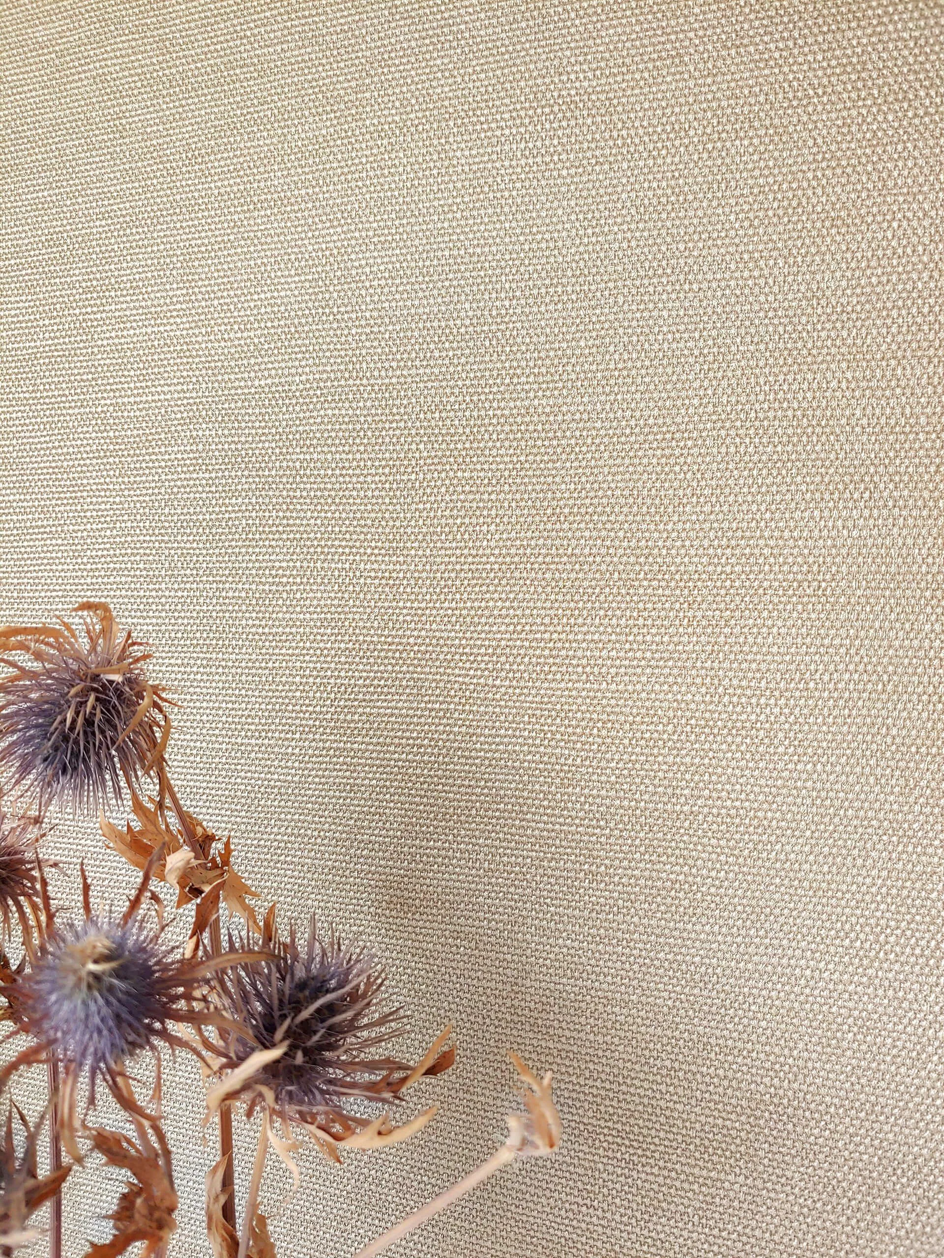 Newroom Vliestapete, Beige Tapete Uni Glänzend günstig online kaufen