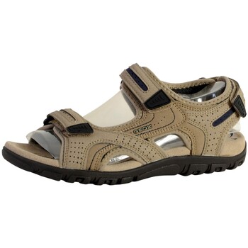 Geox  Sandalen 108812 günstig online kaufen