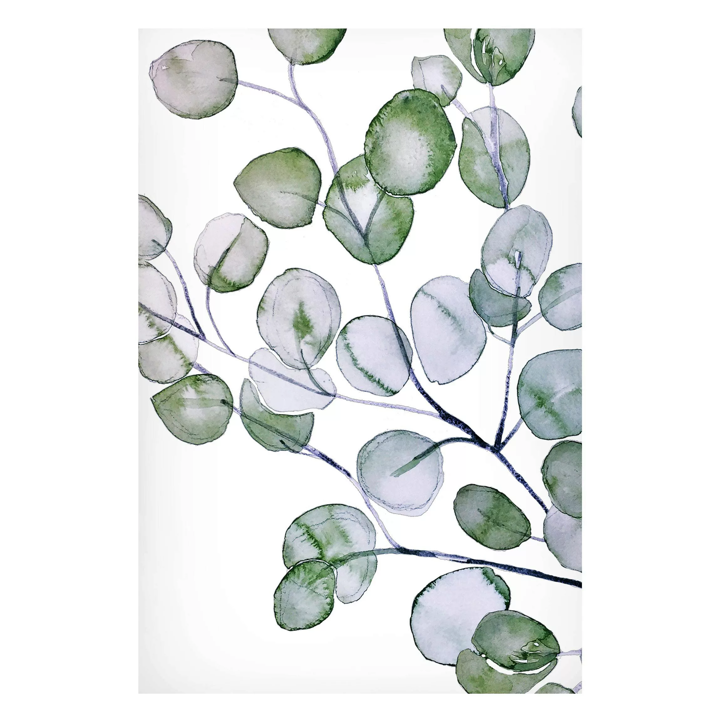 Magnettafel Grünes Aquarell Eukalyptuszweig günstig online kaufen