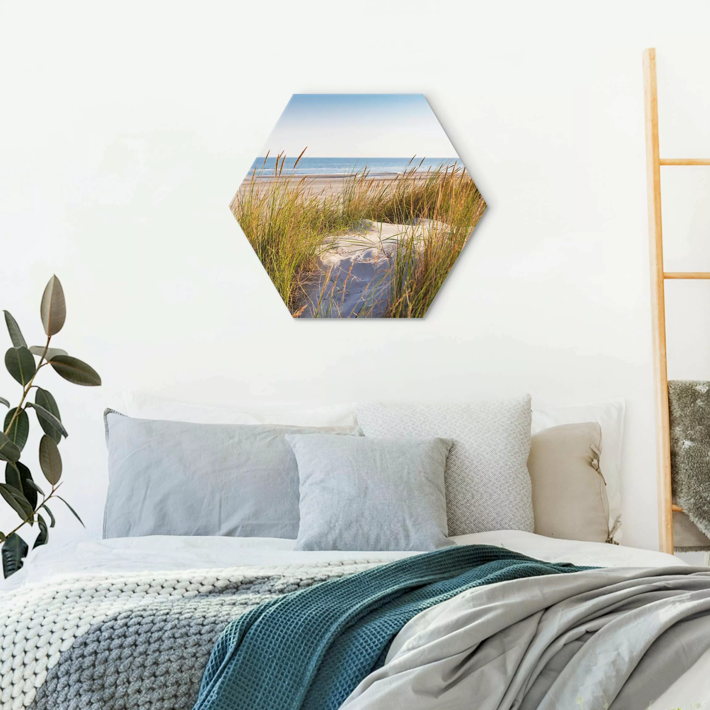 Hexagon-Alu-Dibond Bild Stranddüne am Meer günstig online kaufen