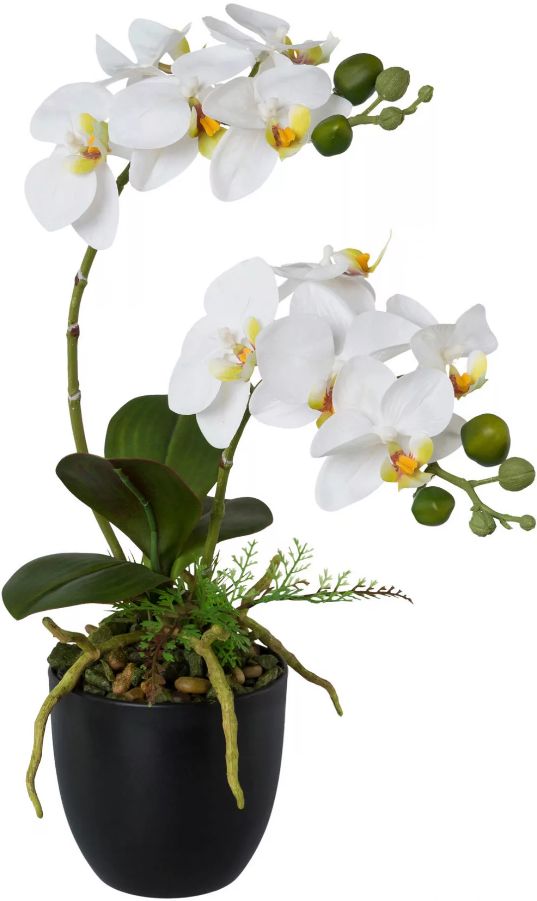 Creativ green Kunstorchidee "Phalaenopsis", im Kunststofftopf günstig online kaufen