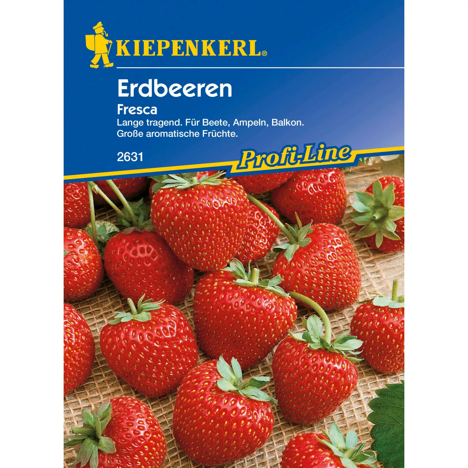 Erdbeeren Fresca günstig online kaufen