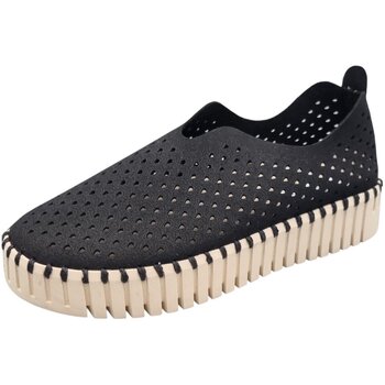 Ilse Jacobsen  Damenschuhe Slipper TULIP3373-001 günstig online kaufen