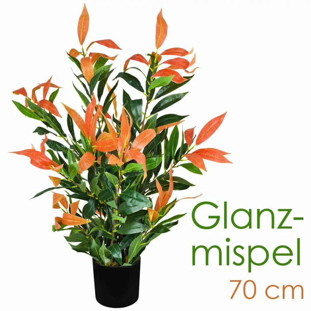 Kunstblume Künstliche Glanzmispel Photinia Kunstpflanze Künstliche günstig online kaufen