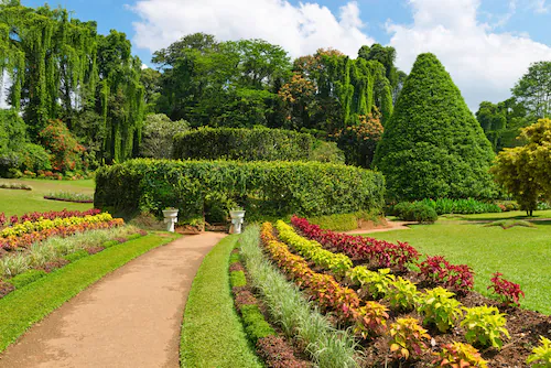 Papermoon Fototapete »GARTEN-BLUMEN BÄUME PFLANZEN PARK STEINE WALD BLÜTEN« günstig online kaufen