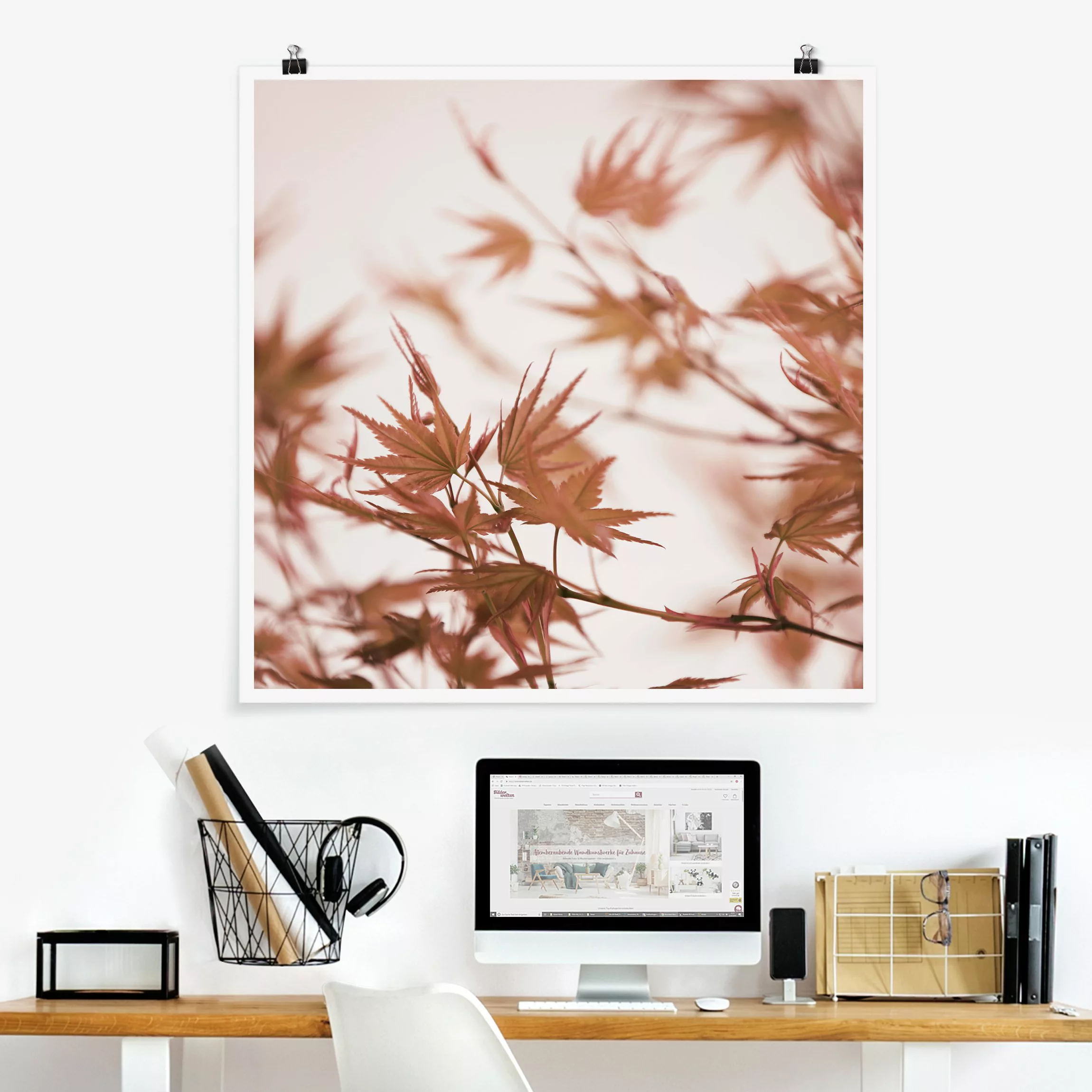 Poster Ahornblätter in Herbstsonne günstig online kaufen