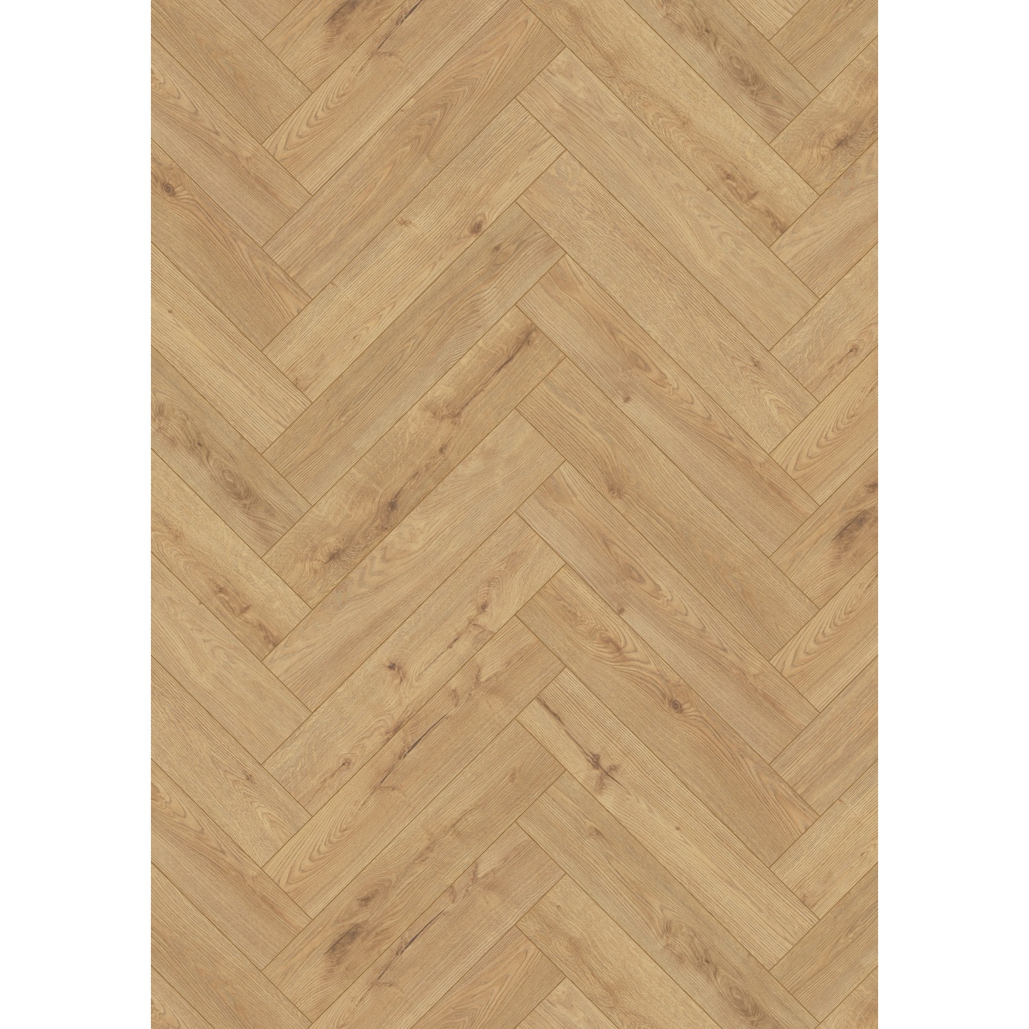 Masterfloor Laminatboden Heringbone Eiche Edinburgh 8 mm günstig online kaufen