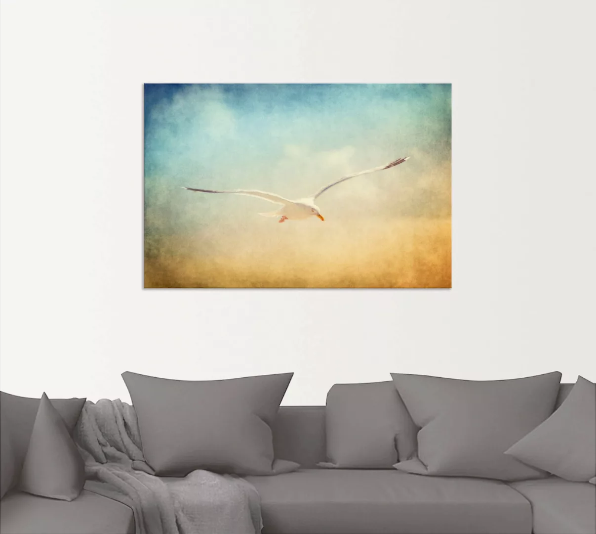 Artland Wandbild "Möwe", Vögel, (1 St.) günstig online kaufen