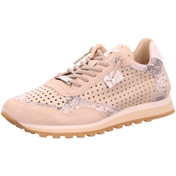 Cetti  Halbschuhe Schnuerschuhe ANTE NATURE IVORY C848 SRA günstig online kaufen