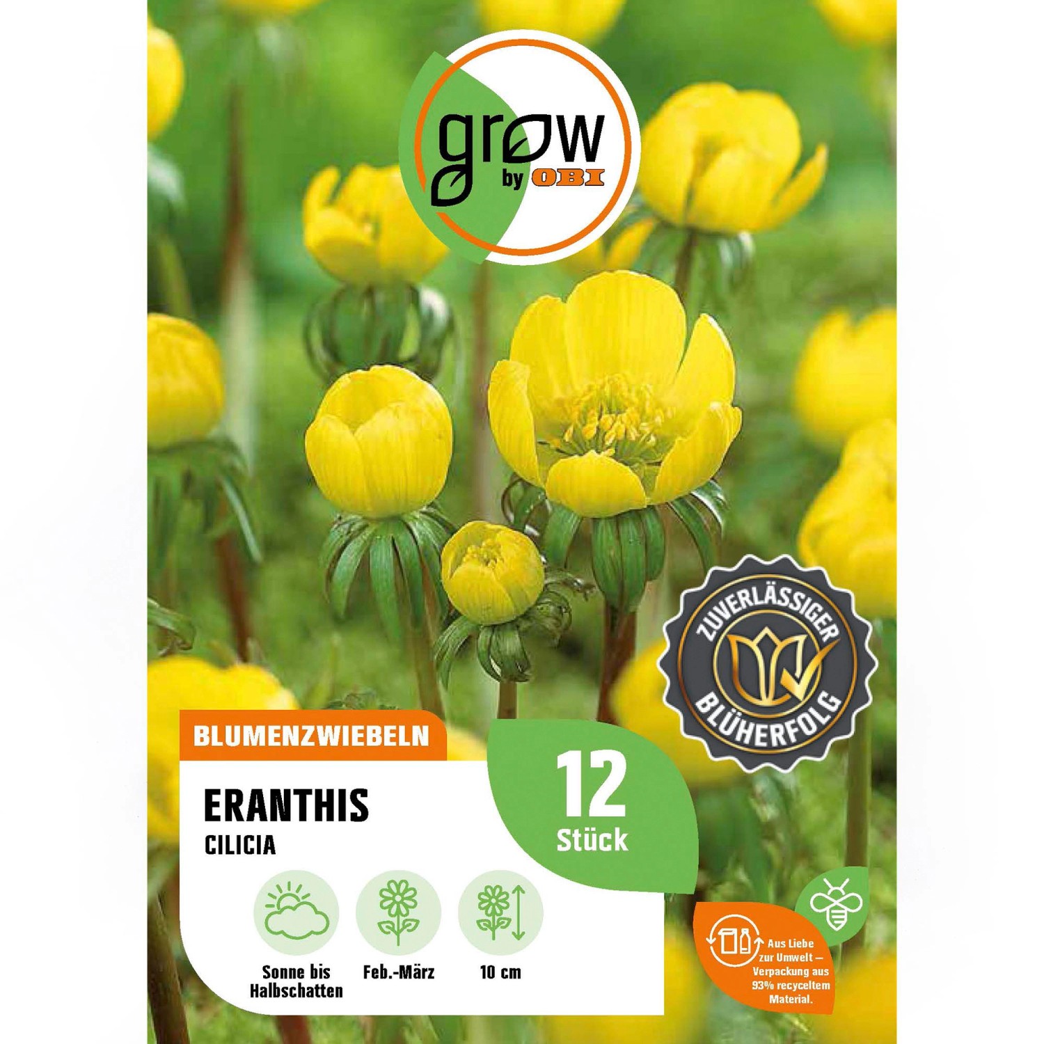 GROW by OBI Winterling Blumenzwiebel Gelb 12 Stück Eranthis Cilicia günstig online kaufen