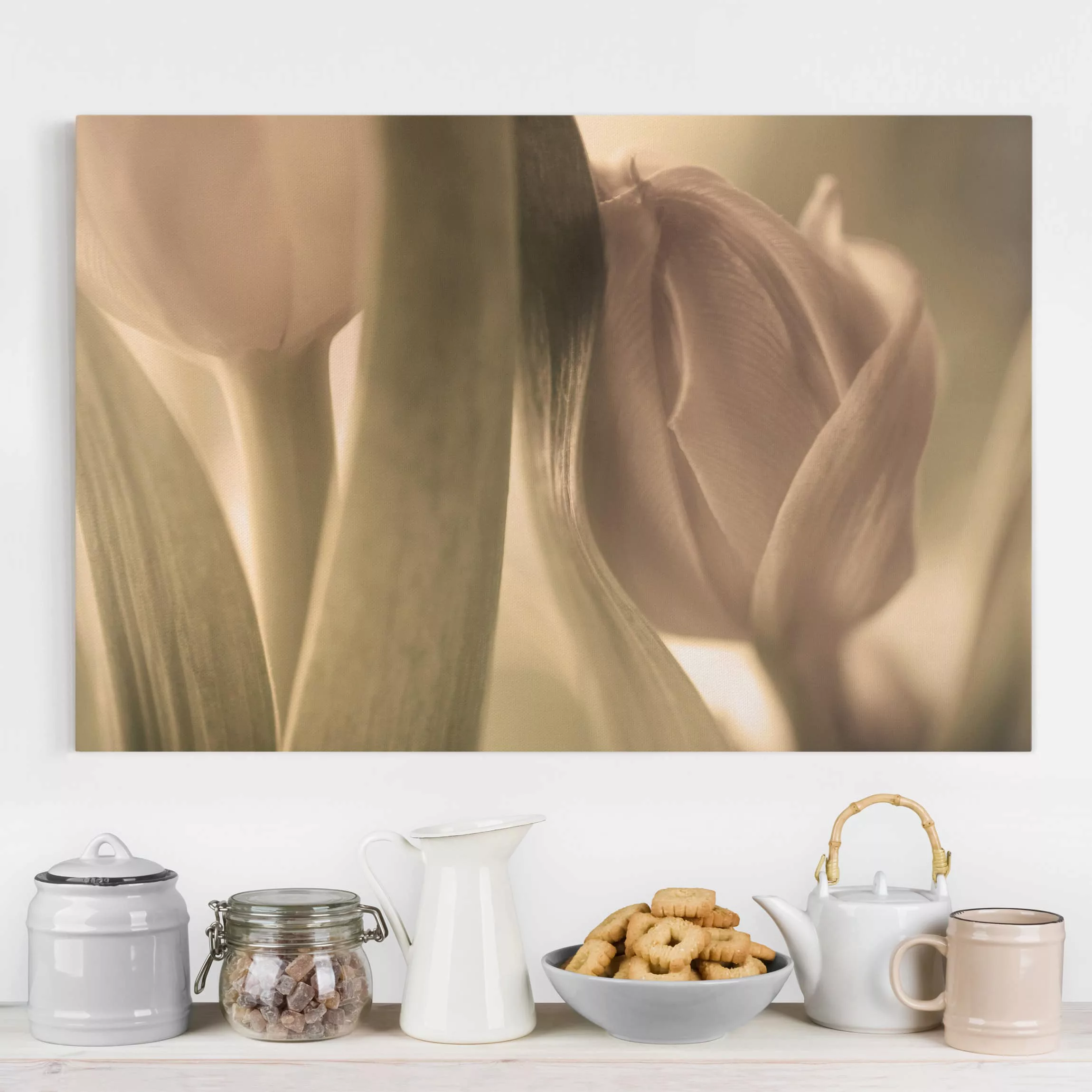 Leinwandbild Blumen - Querformat Zarte Tulpen günstig online kaufen